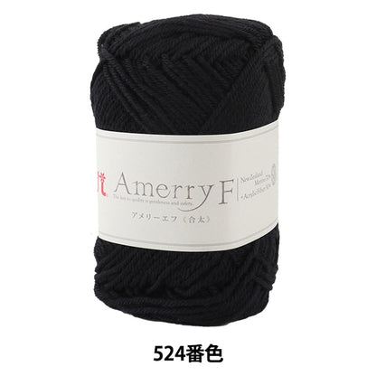 秋冬纱线 “ Amerry F（Ameyev）（gota）524颜色” Hamanaka