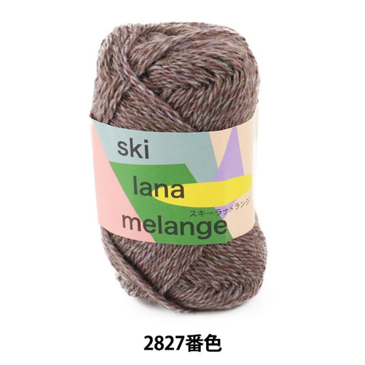 秋冬纱线 “滑雪Lana Melange 2827颜色”滑雪滑雪纱