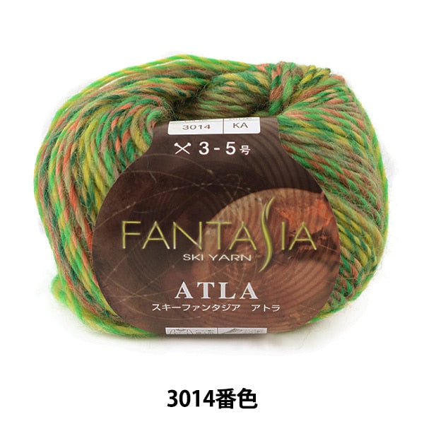 秋冬纱线 “幻想曲Atla（幻想曲Atra）3014颜色”滑雪纱