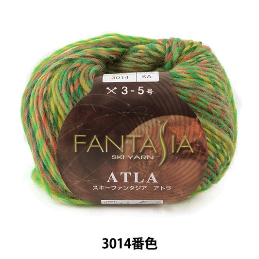 秋冬纱线 “幻想曲Atla（幻想曲Atra）3014颜色”滑雪纱