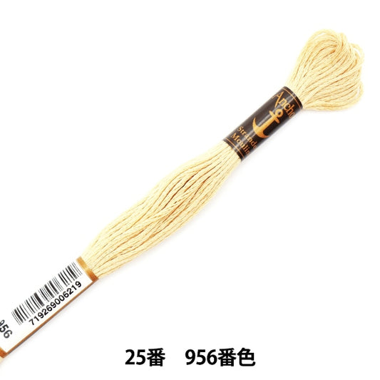 刺绣线“锚（锚）25th刺绣线956颜色”