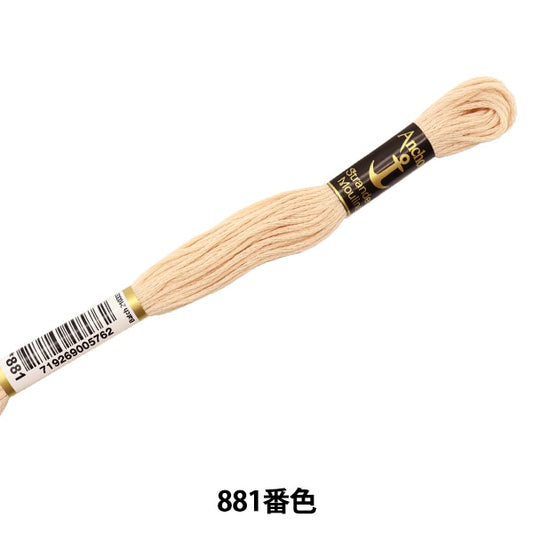 刺绣线“锚（锚）25th刺绣线881颜色”