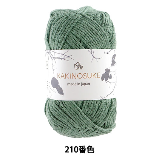 春夏纱线 “ Kakinosuke 210 Color Motita” Puppy