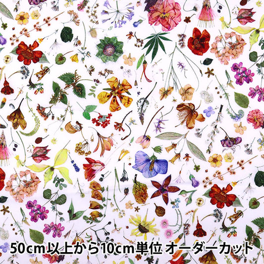 [From quantity 5] Fabric "Liberty Liberty Print Tana lawn Floral Eve] Liberty Japan