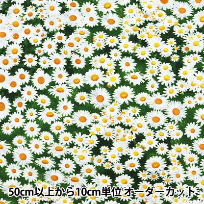 【数量5から】 生地 『インクジェットプリント デイジー C7471-MULTI』 USAコットン