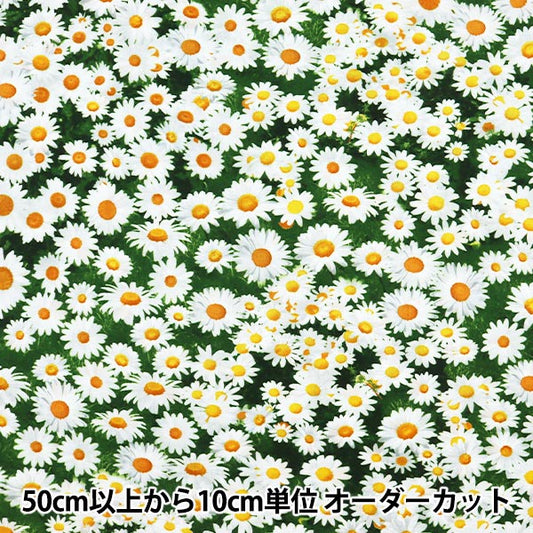【数量5から】 生地 『インクジェットプリント デイジー C7471-MULTI』 USAコットン