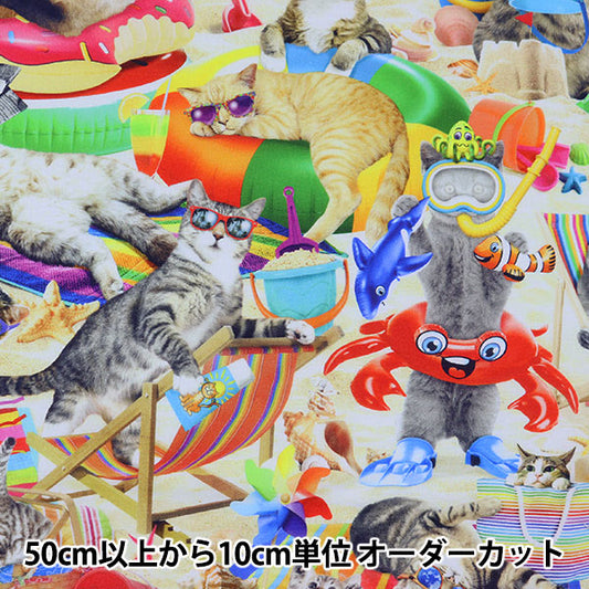 [来自数量5] 织物 “美国海滩上的棉花猫多色猫CD8843”