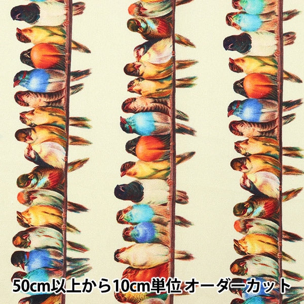 [From quantity 5] Fabric "USA Cotton Vintage Bird Watcher 20848-268"