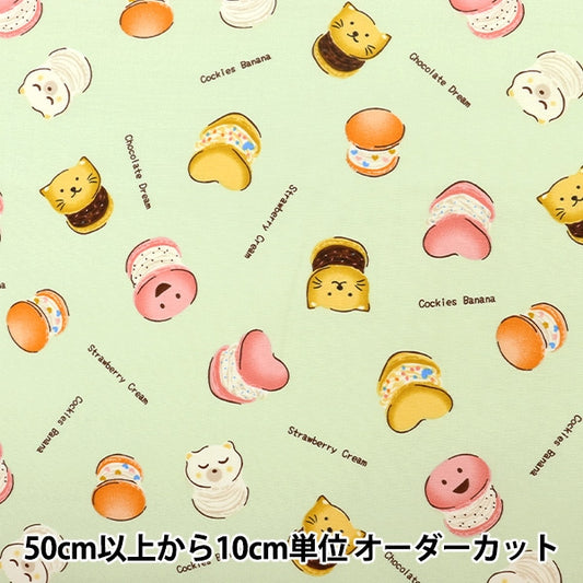 [来自数量5] 织物 “ Broad Kids Cookie Peppermint 99108-2e”
