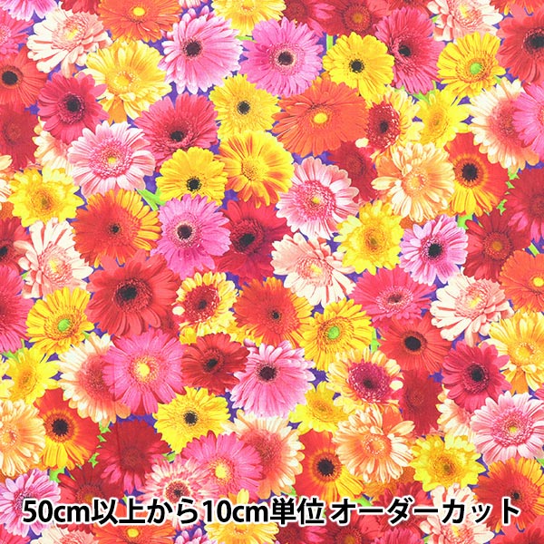 [From quantity 5] Fabric "USA Cotton Imaginings Summer (Flower Pattern) 20916-193"