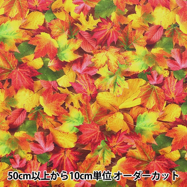 [From quantity 5] Fabric "USA Cotton Imagine's Nature (Autumn Type) 20910-268"