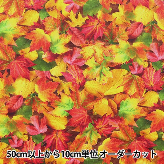 [From quantity 5] Fabric "USA Cotton Imagine's Nature (Autumn Type) 20910-268"