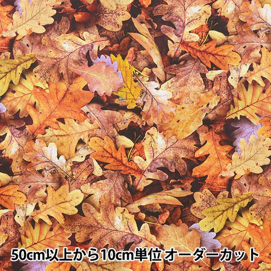[From quantity 5] Fabric "USA Cotton Imaginings Autumn (fallen leaf pattern) 20911-191"
