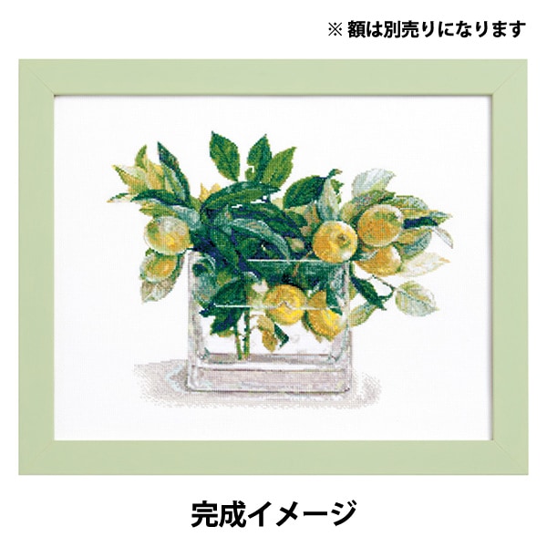 刺绣套件“ Fujico Collection Cross Stitch Lemon No.552104” Lecien Lecien 宇宙