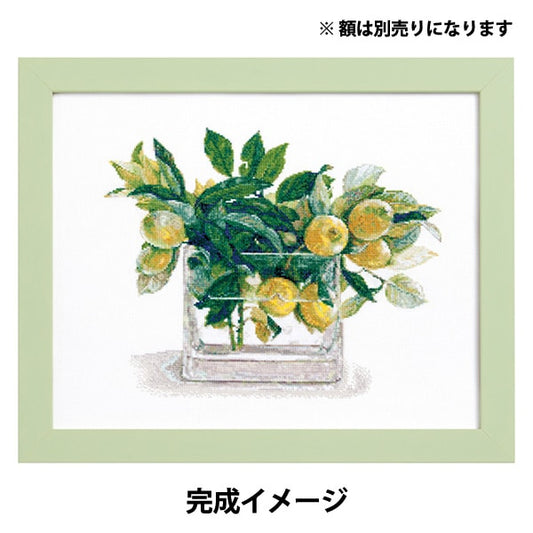 刺绣套件“ Fujico Collection Cross Stitch Lemon No.552104” Lecien Lecien 宇宙