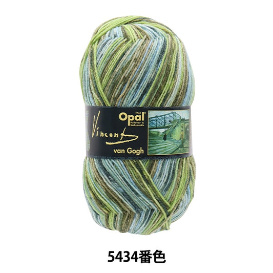 袜子纱线 纱线 “梵高（梵高）4ply 5434。”