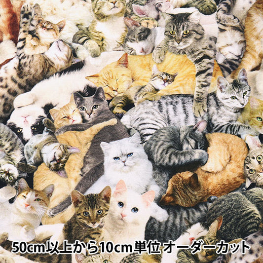 [From quantity 5] Fabric "USA Cotton Perfect Hangout C1033-MULTI"