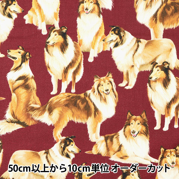 [From quantity 5] Fabric "USA Cotton Pure Breed C1031-Maron"