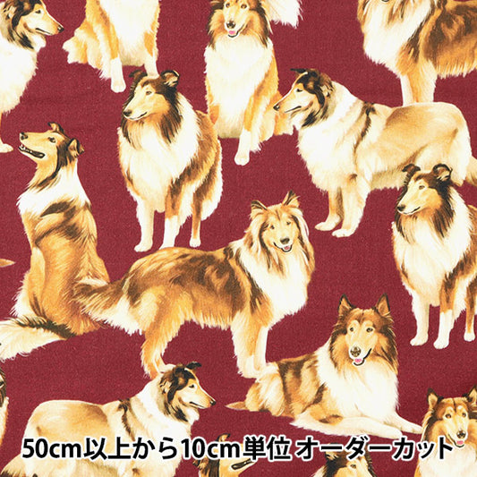 [From quantity 5] Fabric "USA Cotton Pure Breed C1031-Maron"