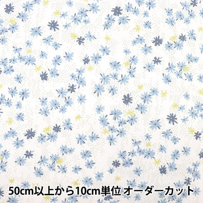 [来自数量5] 织物 “ Nina（Nina）Sofrey Tour Li Ivory 148-1236-S1”