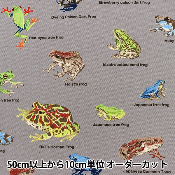 [來自數量5] 織物 “ Twill Frog圖片書KTS6857-B” COTTON KOBAYASHI