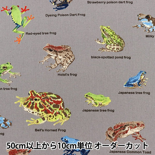 【数量5から】 生地 『ツイル カエル図鑑 KTS6857-B』 COTTON KOBAYASHI コットンこばやし 小林繊維