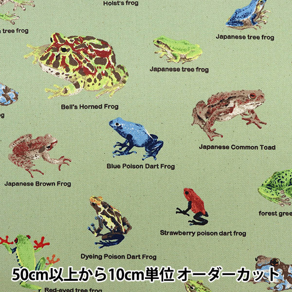 [來自數量5] 織物 “ Twill Frog圖片書KTS6857-D” COTTON KOBAYASHI