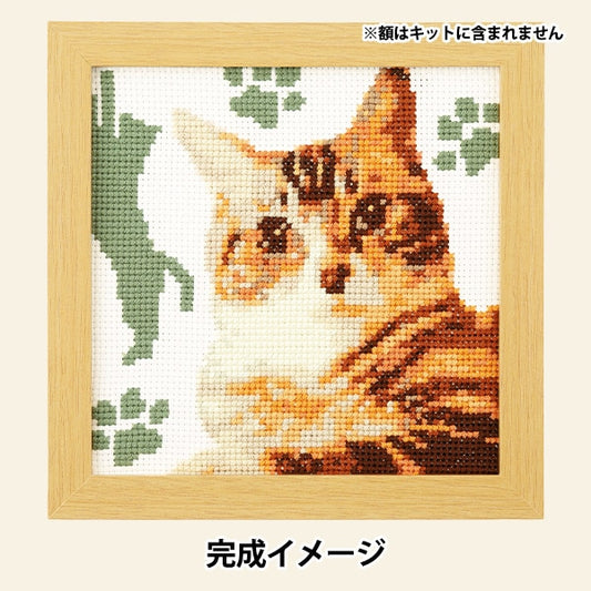 Embroidery kit "Cross stitch kit cute animal American short hair 7549" Olympus