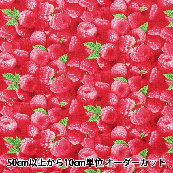 [From quantity 5] Fabric "USA Cotton Berry Good Raspberry Pattern 154-Raspberry"