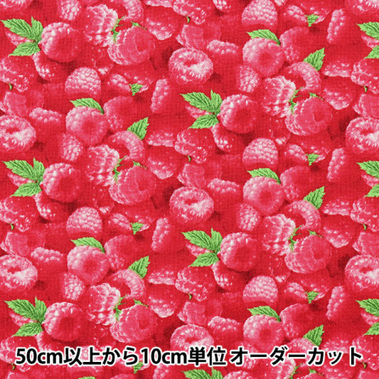 [From quantity 5] Fabric "USA Cotton Berry Good Raspberry Pattern 154-Raspberry"
