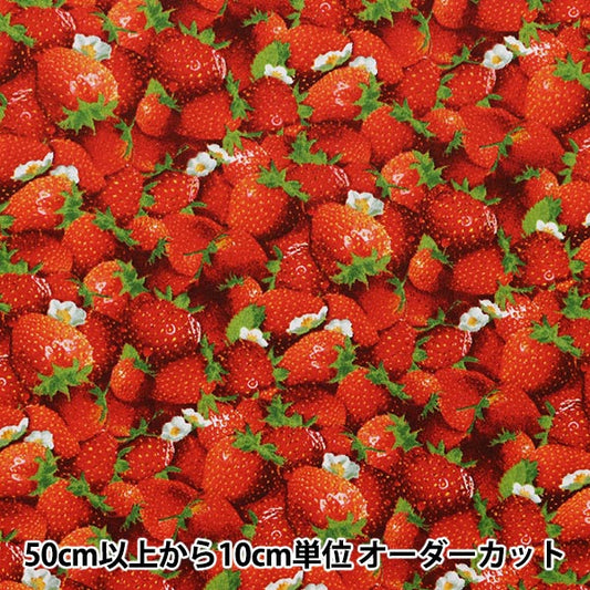 [From quantity 5] Fabric "USA Cotton Berry Good Strawberry Pattern 155-RED"
