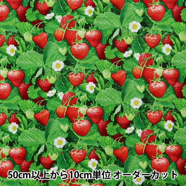 [From quantity 5] Fabric "USA Cotton Berry Good Strawberry Pattern 507-GREEN"