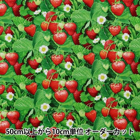 [From quantity 5] Fabric "USA Cotton Berry Good Strawberry Pattern 507-GREEN"