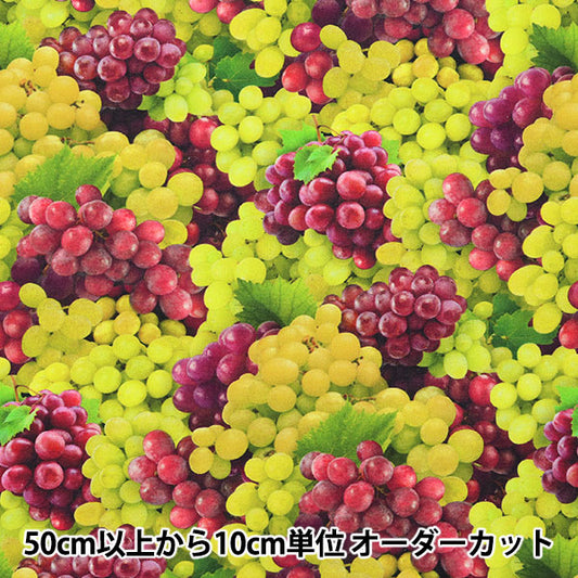 [From quantity 5] Fabric "USA Cotton Food Festival Pattern 579-MULTI"