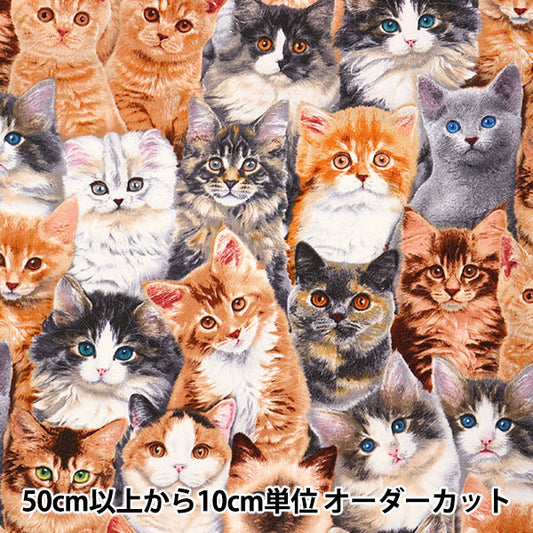 [From quantity 5] Fabric "USA Cotton Ada Betts Cat Pattern 3802-MULTI"