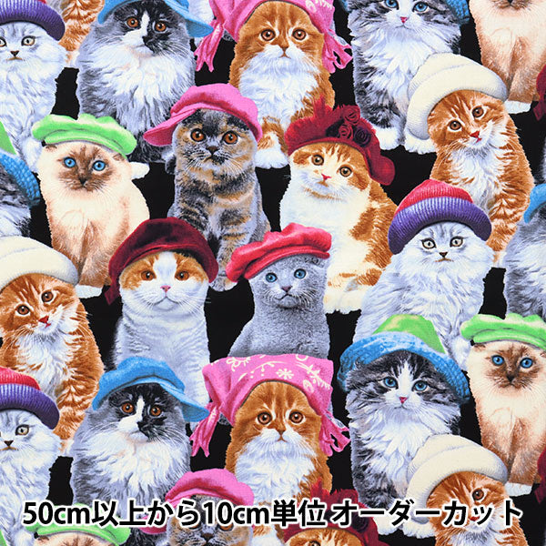[From quantity 5] Fabric "USA Cotton Adolive Pets Cat Pattern 3805-Black"