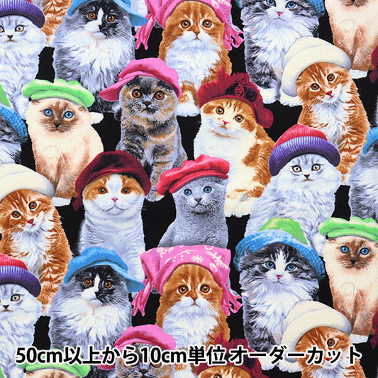 [From quantity 5] Fabric "USA Cotton Adolive Pets Cat Pattern 3805-Black"