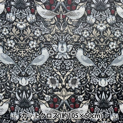 织物 “最好的莫里斯层压板剪布 大约105厘米x 50厘米草莓Seft C-R8176-55]
