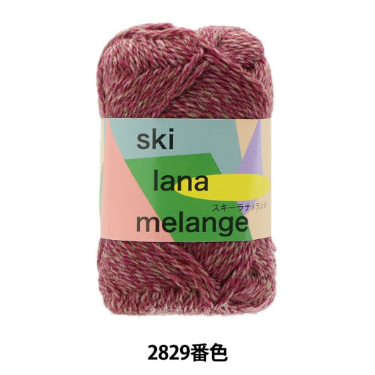 秋冬纱线 “滑雪Lana Melange 2829颜色”滑雪滑雪纱