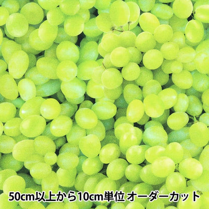 [From quantity 5] Fabric "USA Cotton Packdo Grapeus Green Fruit-CD1373"