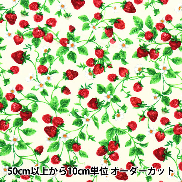 [From quantity 5] Fabric "USA Cotton Small Strawberry on Vine Cream Fruit-C1049"