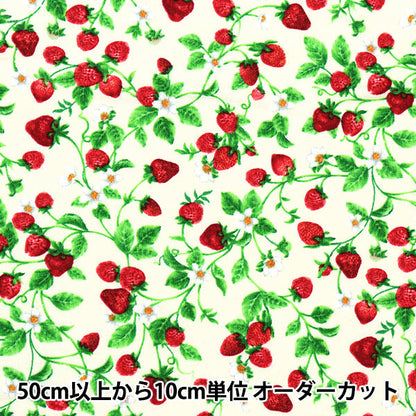 [From quantity 5] Fabric "USA Cotton Small Strawberry on Vine Cream Fruit-C1049"