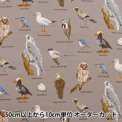 [來自數量5] 織物 “ Twill Bird圖片書灰色KTS6890-D” COTTON KOBAYASHI
