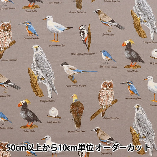 【数量5から】 生地 『ツイル 野鳥図鑑 グレー KTS6890-D』 COTTON KOBAYASHI コットンこばやし 小林繊維