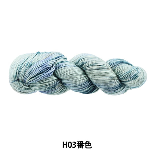 秋冬纱线 “五颜六色的尾巴dai H03彩色ayfs22117”