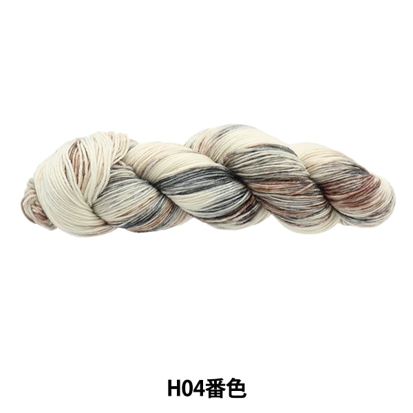 秋冬纱线 “五颜六色的尾巴dai H04彩色ayfs22117”