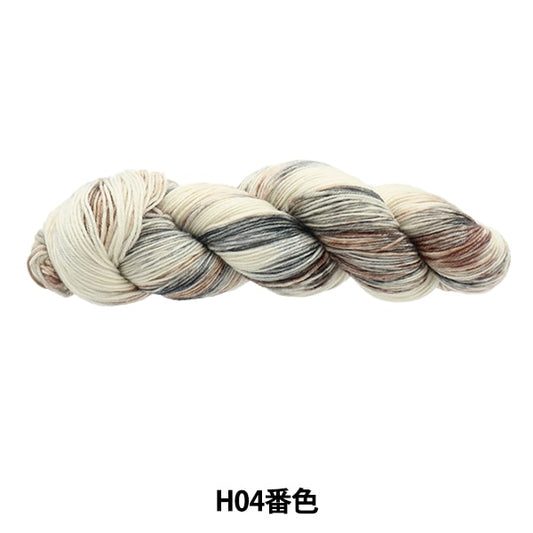 秋冬纱线 “五颜六色的尾巴dai H04彩色ayfs22117”