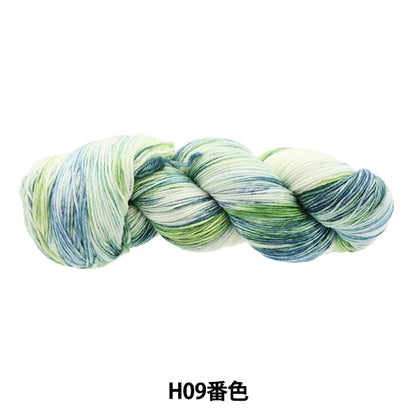 秋冬纱线 “五颜六色的尾巴dai H09颜色ayfs22117”