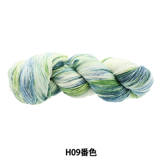秋冬纱线 “五颜六色的尾巴dai H09颜色ayfs22117”