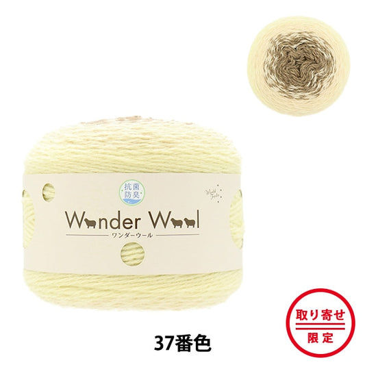 秋冬纱线 “抗菌奇迹羊毛37颜色”世界Festa